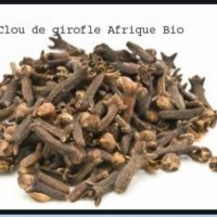 Produit Bio 322: Clou de Girofle et Fibrome Adieu Fibrome