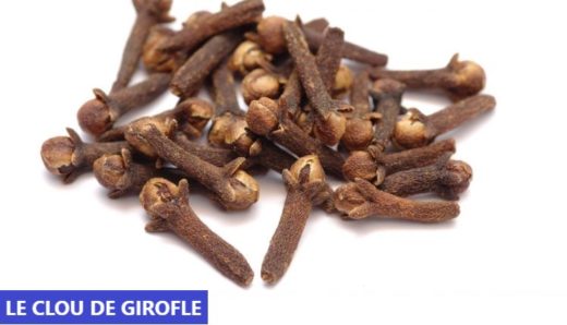 Clou de Girofle pour Asthénospermie Oligospermie Azoospermie