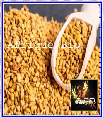 Causes Infertilité Femme Homme Problème de Fertilité en Couple