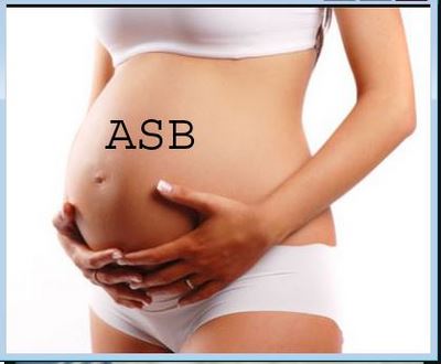 Feuilles de Laurier Pour Tomber Enceinte Facilement