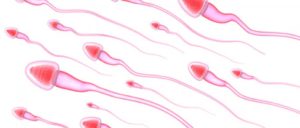 hémospermie