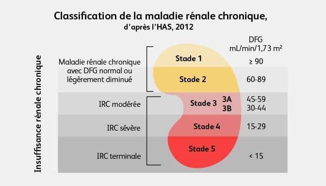 Insuffisance R nale Et Vinaigre De Cidre Traitement Naturel Insuffisance R nale Et Vinaigre De Cidre Traitement Naturel