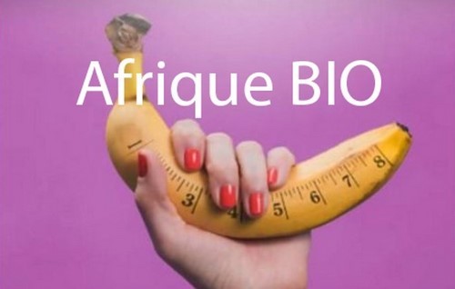 Comment Faire Grossir le Pénis Naturellement Astuce de Développement