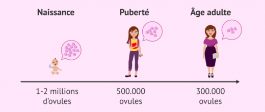 "améliorer la qualité des ovules" . Rajeunir ses ovules, naturellement