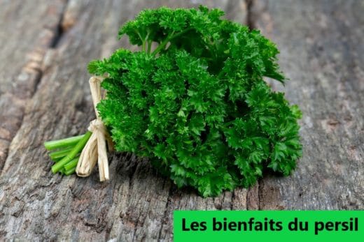 bienfaits du persil, sur le foie, les reins, peau, perte de poids, hypertension
