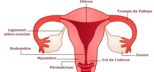 Nettoyer son utérus pour tomber enceinte. gingembre pour nettoyer uterus