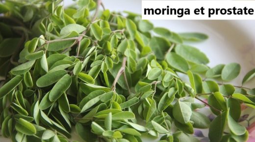 moringa et prostate. Les plantes amies de la prostate