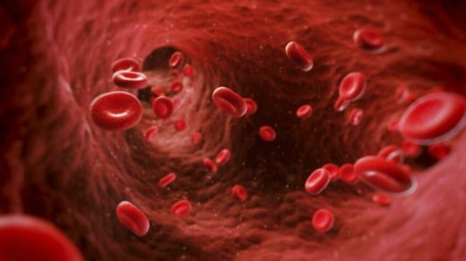 anémie grossesse traitement naturel