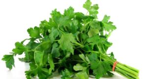 Meilleure plante pour les reins. Comment éviter l'insuffisance rénale ?