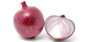 Oignon pour les hommes. oignon et spermatozoïdes