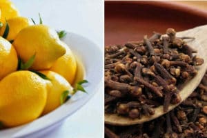 clou de girofle et citron