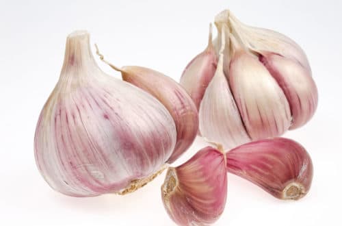 ail et hépatite b. curcuma et hépatite b