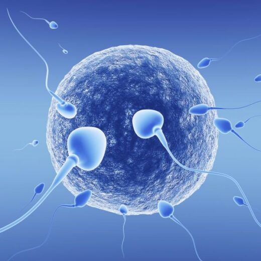 café et fertilité masculine