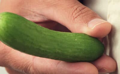 dysplasie olfacto génitale traitement naturel malformation génitales