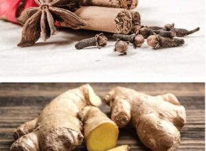mélange gingembre et clou de girofle