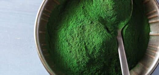 spiruline et grossesse. Spiruline pour tomber enceinte, ses bienfaits