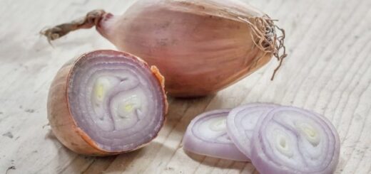 oignon pour grossir le pénis, pour agrandir le pénis et bien bander