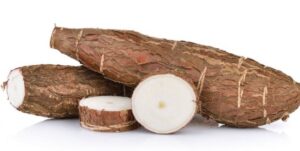 manioc pour les spermatozoïdes
