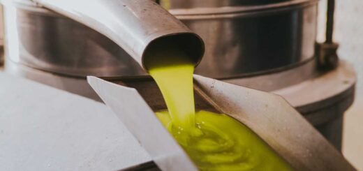 recette de l'algérie pour grossir