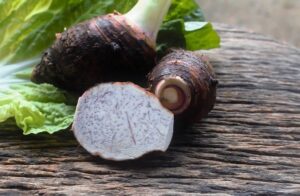 vertus et bienfaits du taro