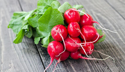 vertus et bienfaits du radis rouge sur la santé