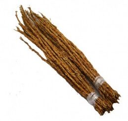 bienfaits de la racine de vétiver ses vertus