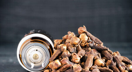 clou de girofle et toilettes intimes