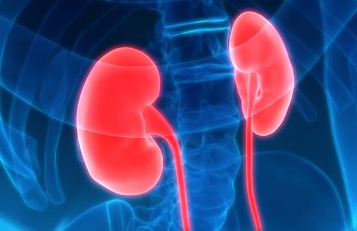 alimentation et insuffisance rénale : que manger, que boire ?