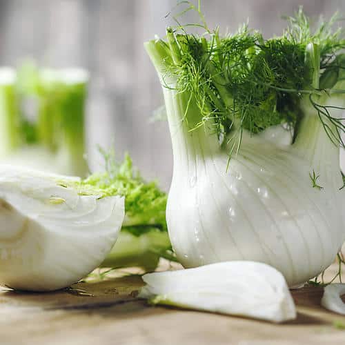les bienfaits du fenouil cru et en infusion