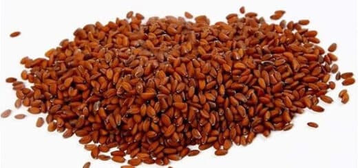 bienfaits graines de cresson