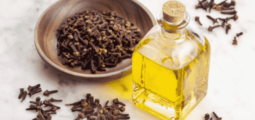 huile essentielle de Girofle clou