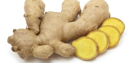 bienfaits de la racine de gingembre