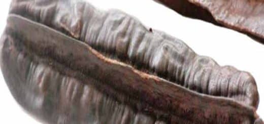 4 cotés et hypertension