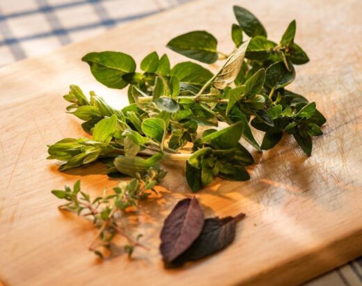 bienfaits de la marjolaine