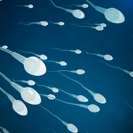 traitement naturel normozoospermie