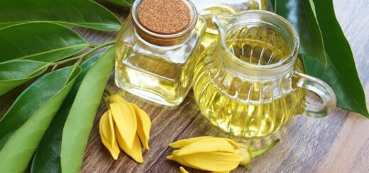 bienfaits de l'huile essentielle d'ylang-ylang