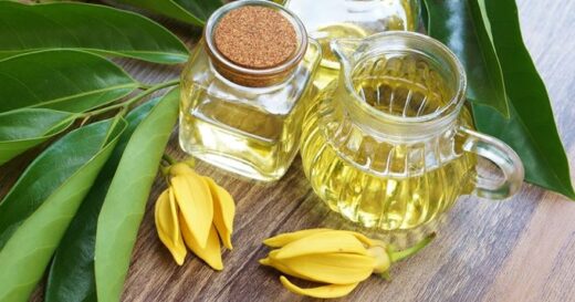 bienfaits de l'huile essentielle d'ylang-ylang