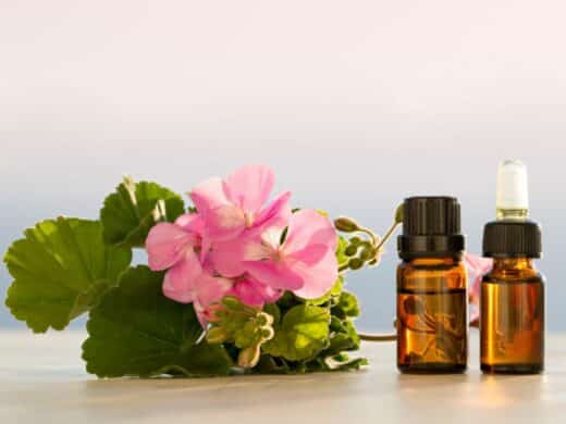 huile essentielle de géranium et diabète