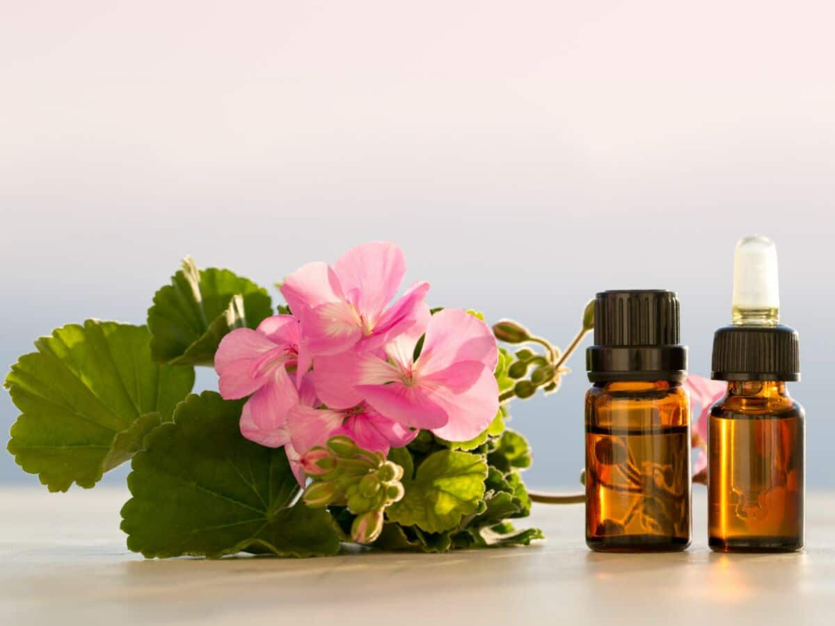 Diabete Et Huile Essentielle