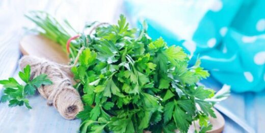 remède de grand mère pour baisser le fer