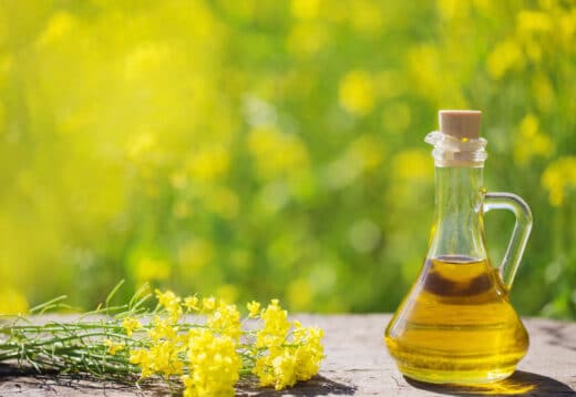 huile de colza bienfaits
