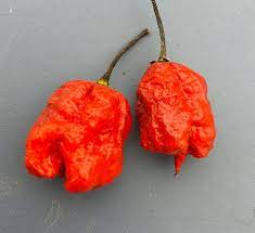 Carolina Reaper bienfaits