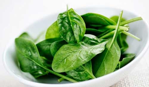 bienfaits des épinards