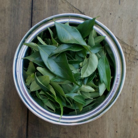 Feuilles de curry bienfaits