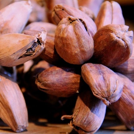 Bienfaits maniguette et fertilité