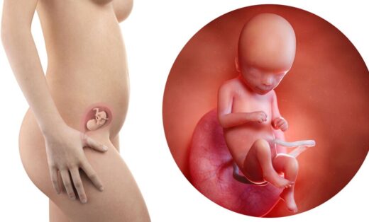 Vibration ventre grossesse