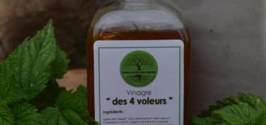 Bienfaits du vinaigre des 4 voleurs