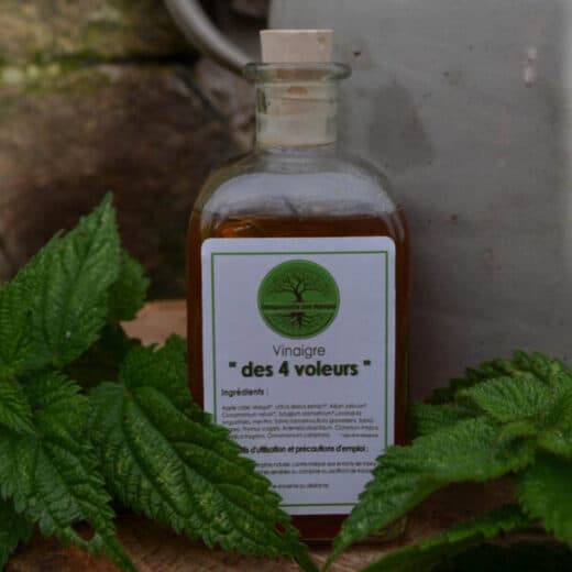 Bienfaits du vinaigre des 4 voleurs