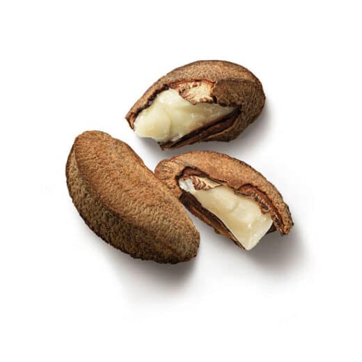 4 ingrédients des noirs brésiliens pour durer des heures au lit