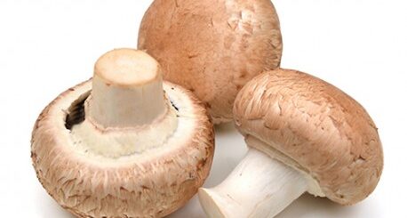 Bienfaits du champignon de Paris pour tomber enceinte